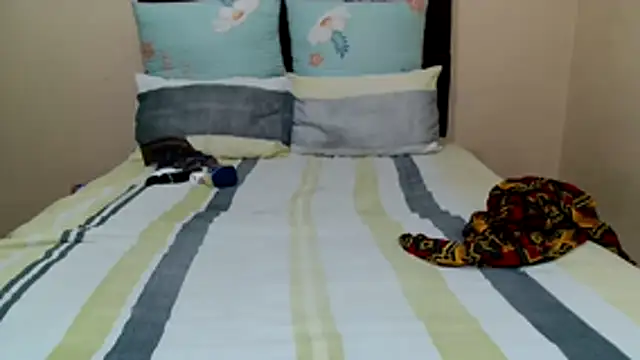 Bbw255 online show from 11/03/25, 06:25