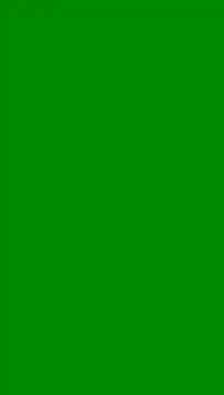soy 5 online show from 07/27/26, 04:14