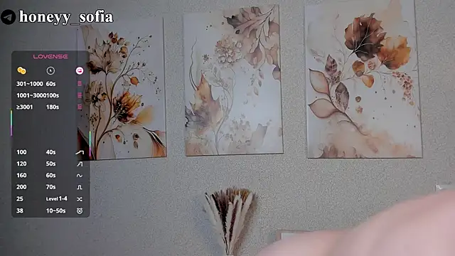 Snapshot of sweete_sofia chatting on 03/12/25, 02:20 sweete sofia online show from 03/12/25, 02:20