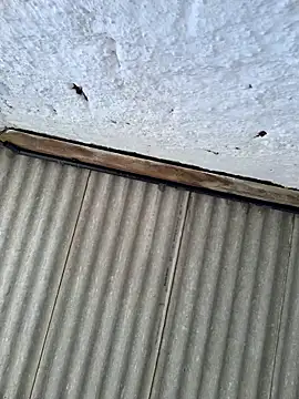 alexjs84 online show from 11/22/25, 03:44