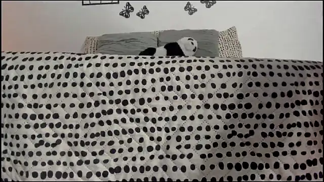 Snapshot of Keiny-Rave chatting on 03/18/25, 01:32 Keiny-Rave online show from 03/18/25, 01:32