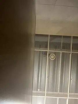 MayaMystic online show from 02/24/25, 12:16