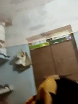 jaydev madhuri online show from 03/14/26, 07:19