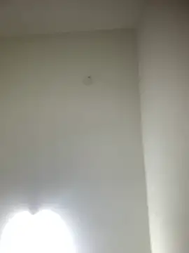 bidex002 online show from 05/15/26, 11:23
