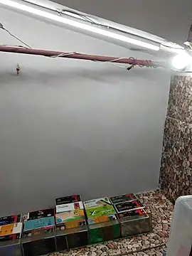 dannyD06969 online show from 05/11/26, 08:09