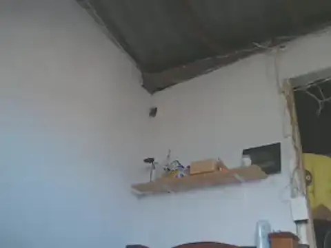 Snapshot of gatoalex89 chatting on 01/15/25, 08:05 gatoalex89 online show from 01/15/25, 08:05