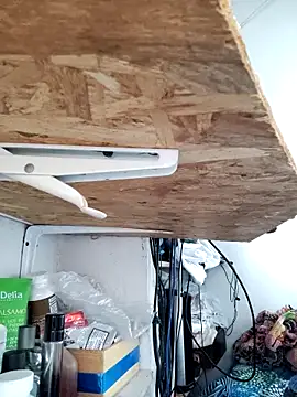 gatoalex89 online show from 04/08/26, 10:21