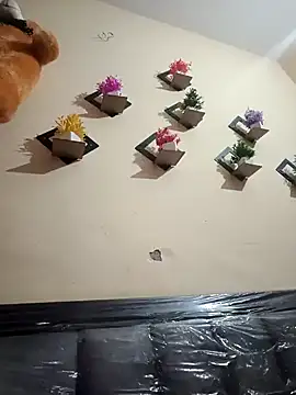 Soniya 444 online show from 03/01/26, 03:03