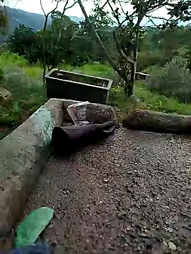 Snapshot of crazysex095 chatting on 01/02/25, 08:46 crazysex095 online show from 01/02/25, 08:46