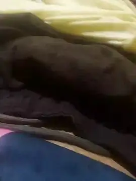 Snapshot of jarmesr7x chatting on 01/27/25, 02:42 jarmesr7x online show from 01/27/25, 02:42