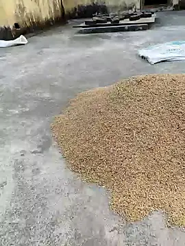 Snapshot of sweet_suman chatting on 01/18/25, 11:21 sweet suman online show from 01/18/25, 11:21