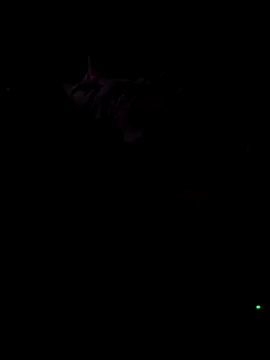 BigDandthemrs online show from 09/10/25, 10:32