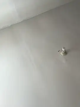 lunagonzales lima 2007 online show from 02/21/25, 08:38