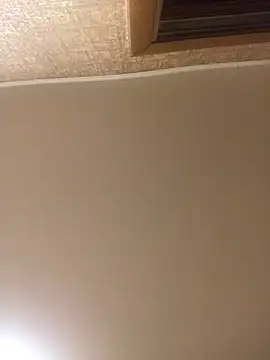 Prolisok473 online show from 01/30/25, 03:29