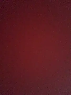 Prolisok473 online show from 02/09/25, 07:38