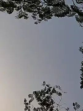 Whitehouse01 online show from 12/29/24, 01:56