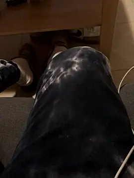 josueswvillaA1 online show from 01/12/26, 03:06