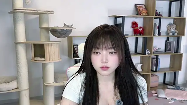 Snapshot of Chenjing0 chatting on 04/28/26, 01:16 Chenjing0 online show from 04/28/26, 01:16