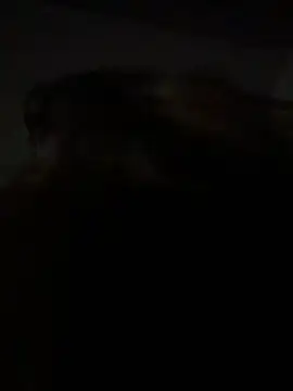 Kitty DaCocks online show from 01/07/26, 12:13