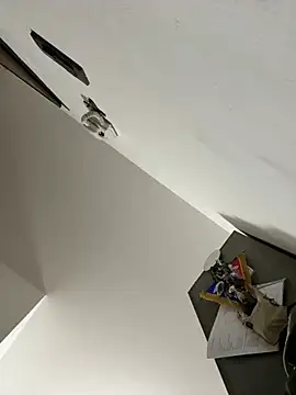 ilmaestoso online show from 02/21/25, 07:23