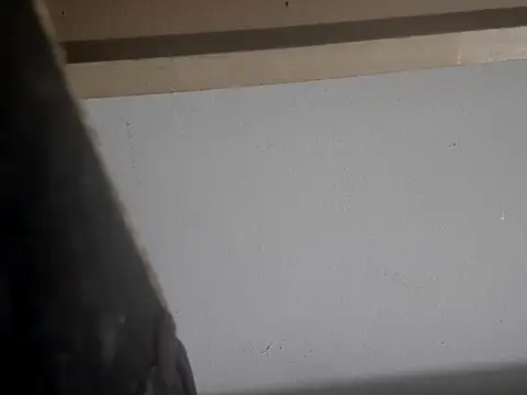 Snapshot of filthymind619 chatting on 01/16/25, 05:00 filthymind619 online show from 01/16/25, 05:00