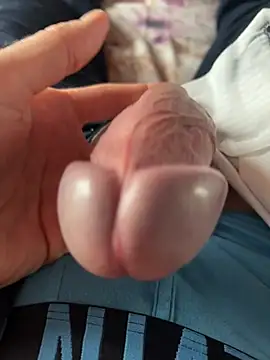 willy75 online show from 01/29/25, 10:27