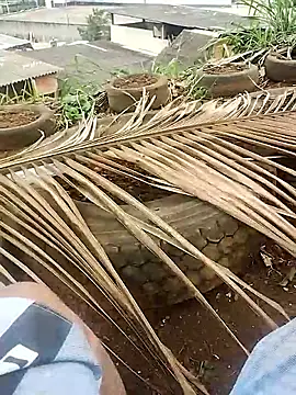 safado0027 online show from 10/15/25, 06:41