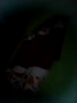 safado0027 online show from 11/09/25, 08:34