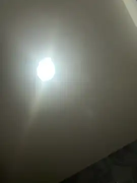 Az 89-23 online show from 04/14/26, 06:41