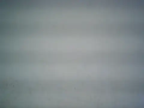 michel1520 online show from 06/15/26, 05:48
