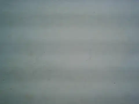 michel1520 online show from 07/20/26, 11:34