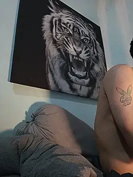 Snapshot of dany_hardy chatting on 01/16/26, 11:31 dany hardy online show from 01/16/26, 11:31