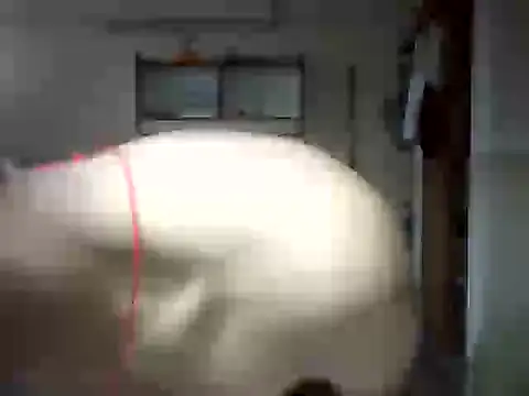 venom26 online show from 09/14/25, 09:52