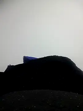 Snapshot of CHARLOTTE_1711 chatting on 10/11/25, 03:39 CHARLOTTE 1711 online show from 10/11/25, 03:39