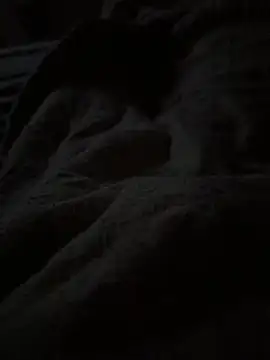 Lilymoonshow online show from 04/07/26, 03:29