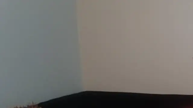 Snapshot of hairyncuteass chatting on 02/13/25, 08:24 hairyncuteass online show from 02/13/25, 08:24