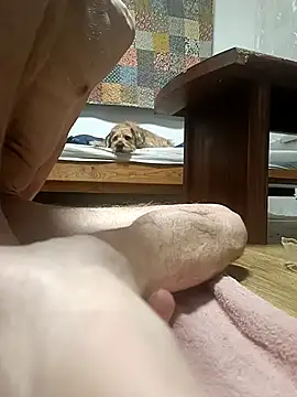 Bisexualhard23 online show from 01/18/26, 12:58