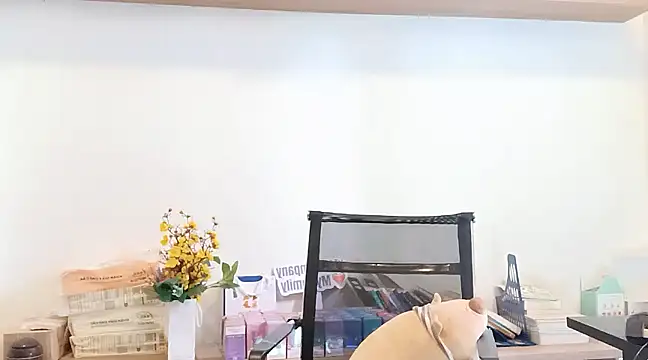 Lush-Office online show from 03/12/25, 07:57