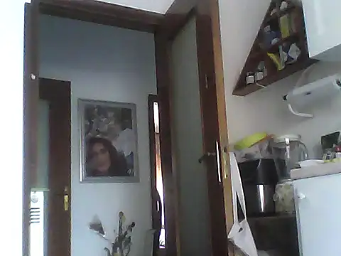 nelly88 xxx online show from 06/26/26, 12:09