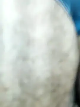 HGKNSS online show from 04/10/26, 06:34