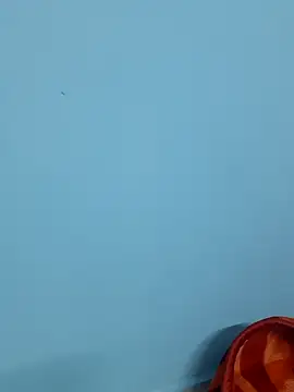 Divya-2007 online show from 02/07/25, 12:06