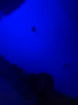 Raziv komal143 online show from 02/25/25, 12:14