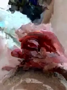 pussyhoneyhot online show from 02/19/26, 09:00