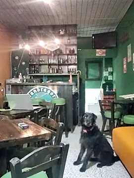 ilonna2025 online show from 03/15/26, 11:33