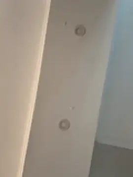 dereckgreen online show from 02/17/26, 09:21