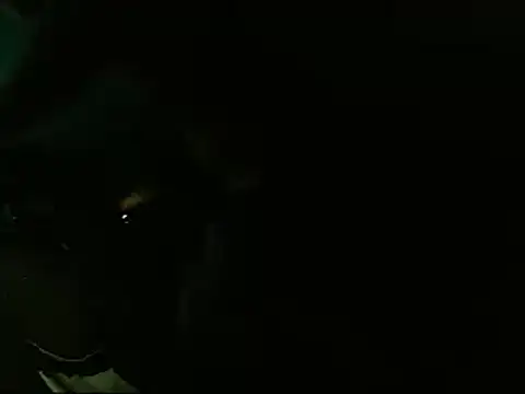 Snapshot of Lliam_2 chatting on 01/20/25, 06:31 Lliam 2 online show from 01/20/25, 06:31