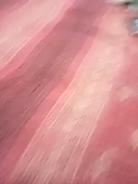 bdmaksuda1 online show from 03/21/25, 04:07