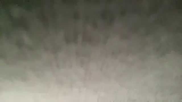 ryan 28747 online show from 11/01/25, 07:38