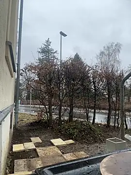 Snapshot of Ciara2004 chatting on 02/11/26, 01:27 Ciara2004 online show from 02/11/26, 01:27