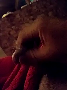 srecet online show from 02/01/25, 09:43